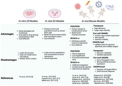 In vitro and in vivo modeling systems of supratentorial ependymomas